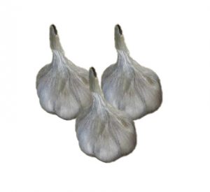 gray garlic