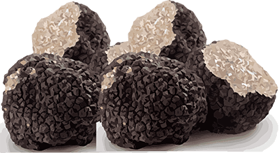 gray truffles foods