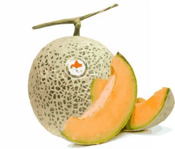 grey fruits yubari king