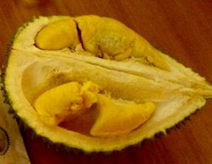 tropical yellow durian pulp