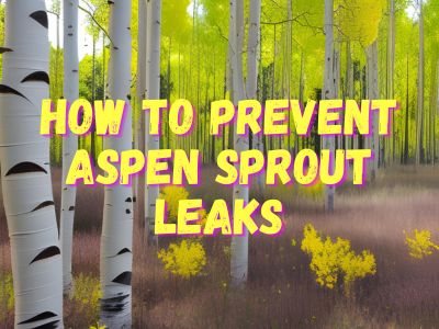 Prevent aspen sprout leaks