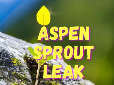 Aspen Sprout Leak