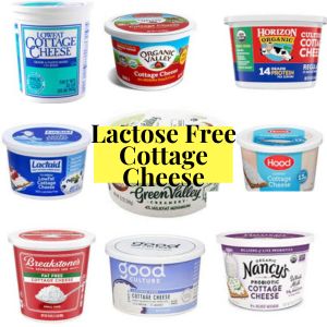 Lactose Free Cottage Cheese Brands review
