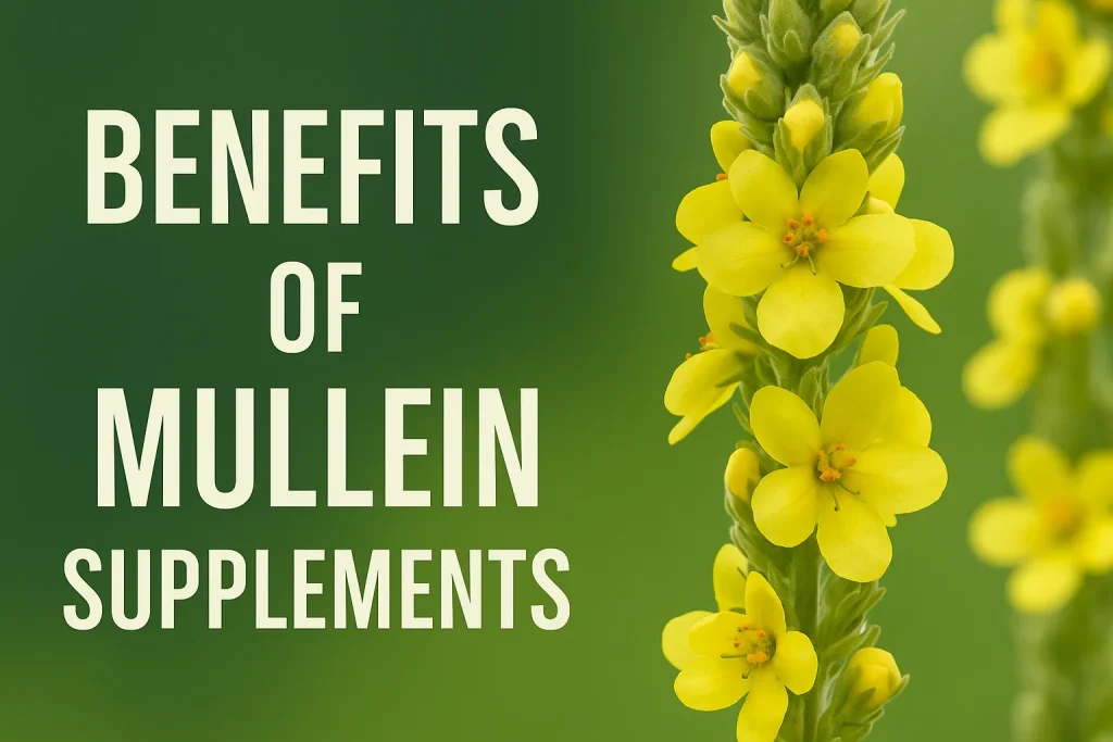 Best mullein supplements