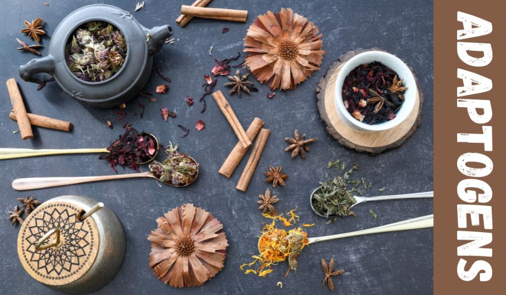Adaptogens