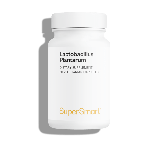 Supersmart Lactobacillus Plantarum PostBiotic Immuno-LP20 bottle